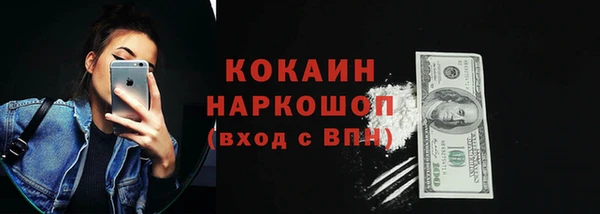 хмурый Арсеньев
