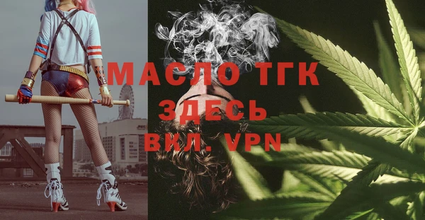 хмурый Арсеньев