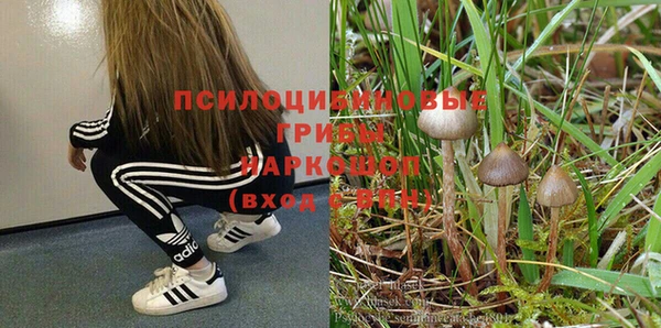 хмурый Арсеньев