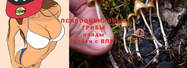 хмурый Арсеньев