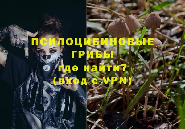mdpv Армянск